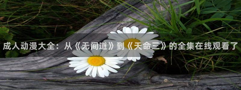 age动漫网官网入口