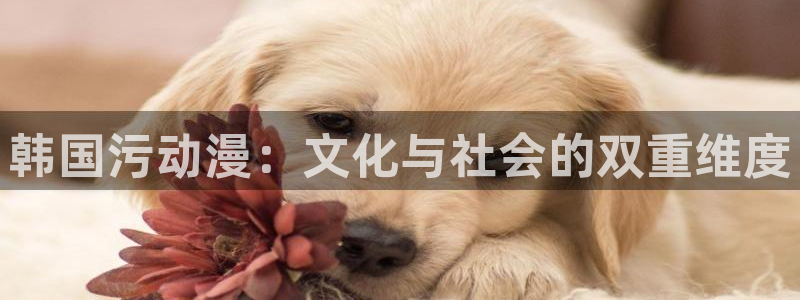 下载age动漫：韩国污动漫：文化与社会的双重维度