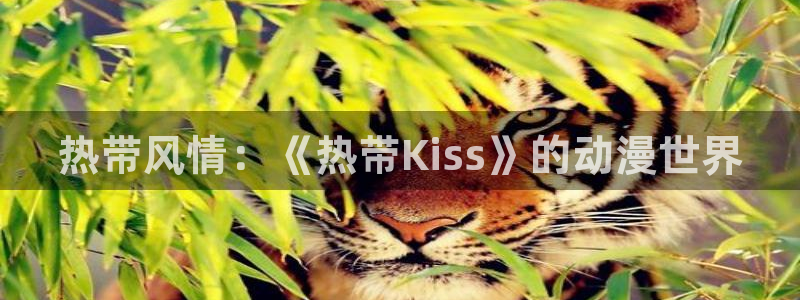 age动漫官网版入口