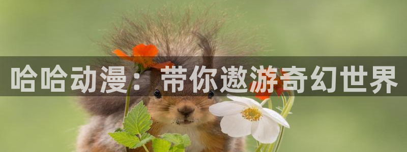 age漫画网：哈哈动漫：带你遨游奇幻世界