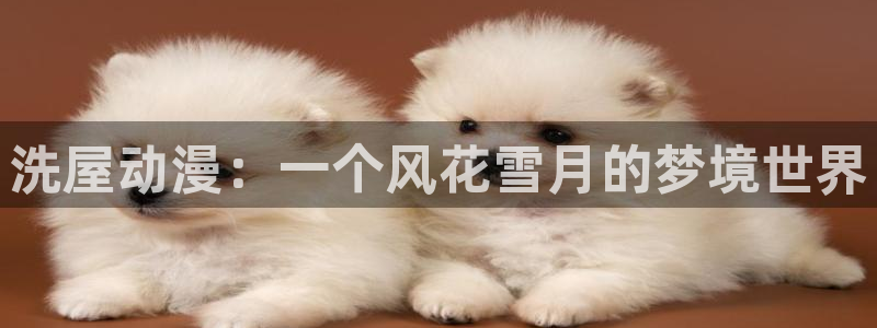 在线动画动漫下载age动漫：洗屋动漫：一个风花雪月的梦境世界