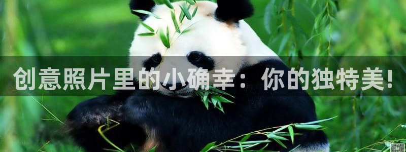 age动漫下载