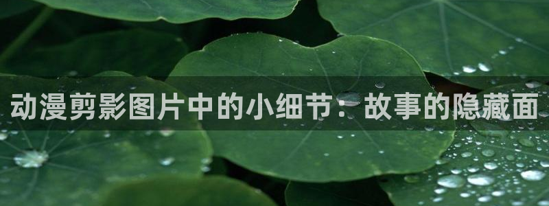 拷贝漫画 copymanager.ory网站