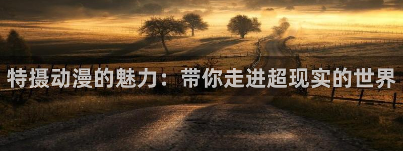 age专注动漫的门户网站