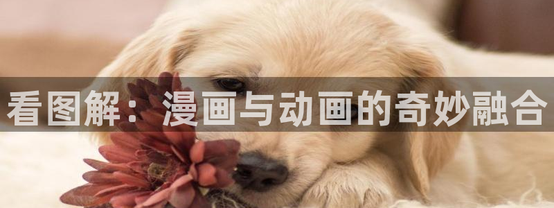 kakaopage韩漫官网