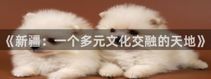 age动漫下载入口