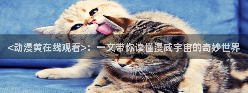 拷贝漫画 copymanager.ory网站