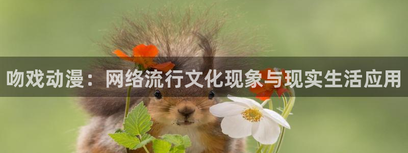 age动漫官网入口老版本
