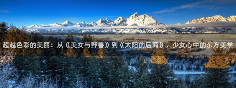 age动漫网下载
