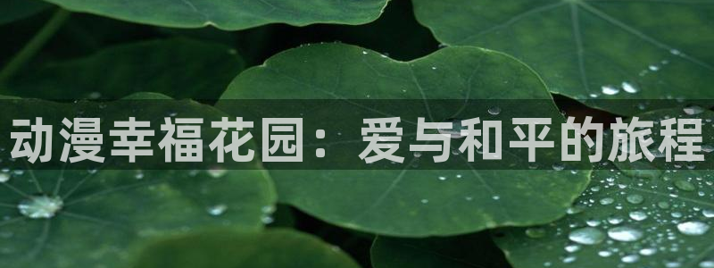 age动漫网下载