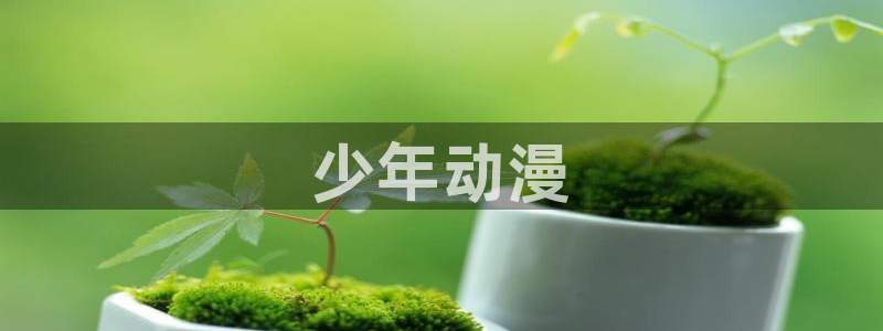 age动漫专注动漫的门户网站：少年动漫