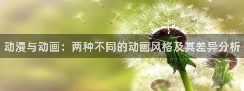 kakaopage韩漫官网：动漫与动画：两种不同的动画风格及其差异分析