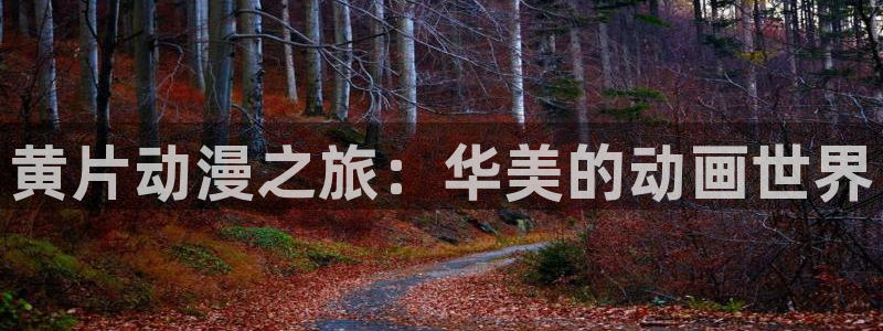 age动漫omofun
