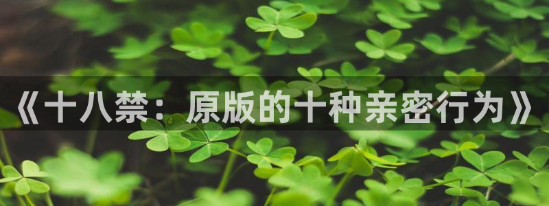 拷贝漫画 copymanager.ory网站