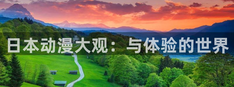 age动漫网