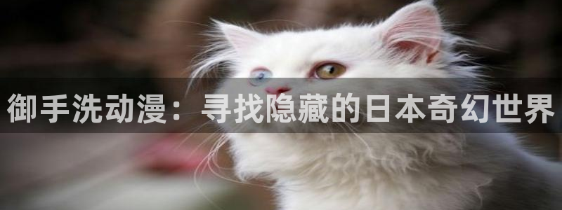 在线动画动漫下载age动漫