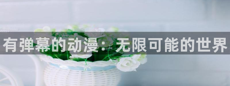 age动漫网官网入口