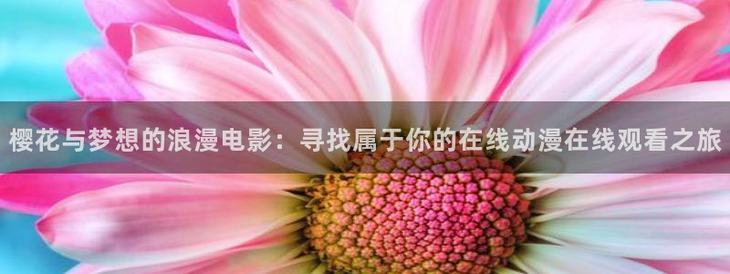 age动漫官网在线入口
