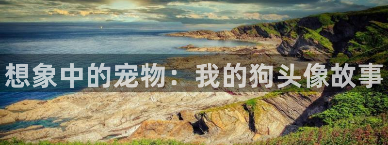 age动漫官网网址