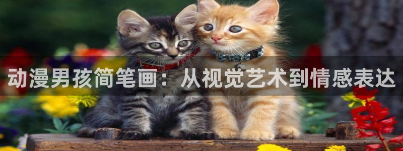 age动漫下载网