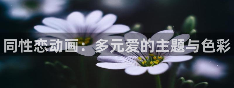 age动漫官网入口老版本