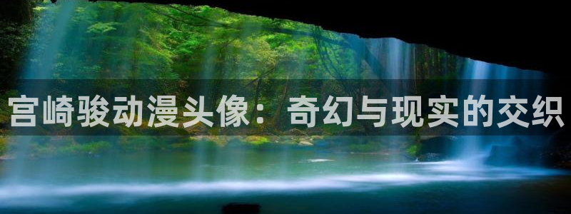 age动漫官网网址：宫崎骏动漫头像：奇幻与现实的交织