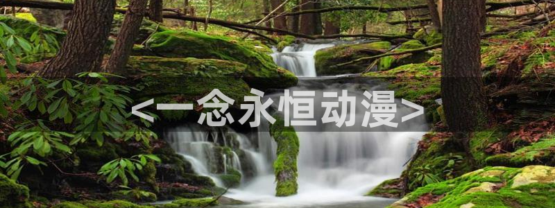 age动漫网上看