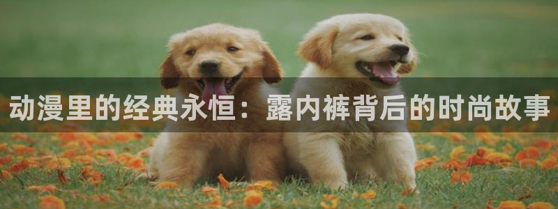 age动漫网下载